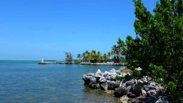 Beautiflul bay in the Florida Keys — Stock Video