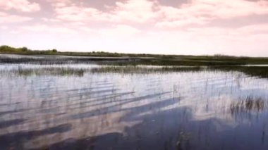 FLORIDA Everglades 'te inanılmaz ve heyecan verici bir yolculuk.