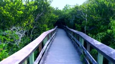 Güney Floridadaki Everglades Ulusal Parkı