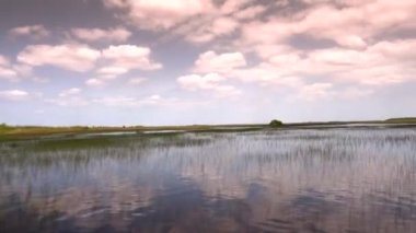 FLORIDA Everglades 'te inanılmaz ve heyecan verici bir yolculuk.