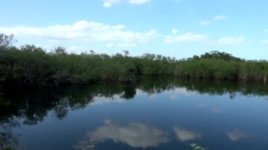 Güney Floridanın Everglades 'inde romantik bir göl