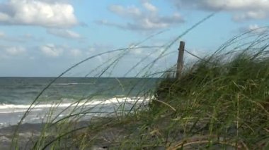 Bir kum plajındaki rüzgarda sallayarak Sawgrass'da