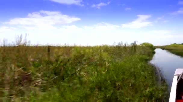 Vzrušující vzducholoď projíždějící Everglades v FLORIDA — Stock video