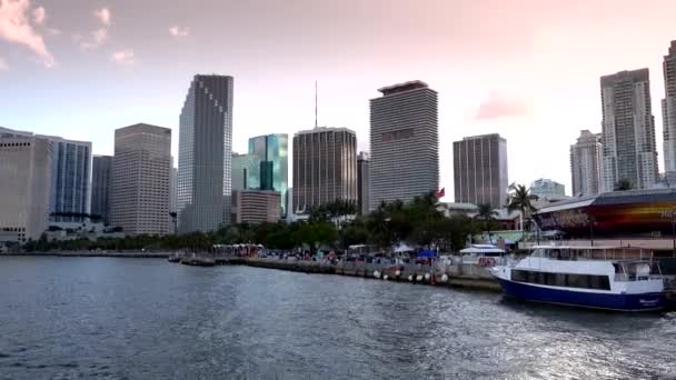 Skyline Майами вечером — стоковое видео