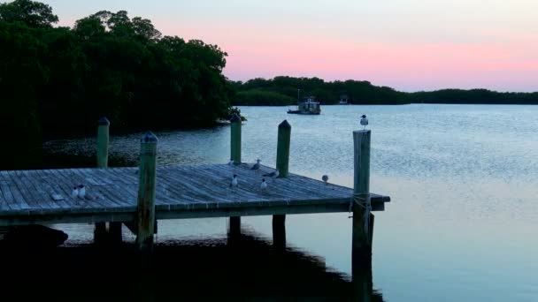 Kleine pier in Florida na zonsondergang - zeer romantische — Stockvideo