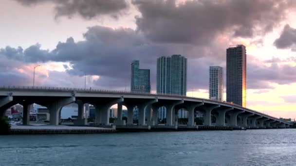 Die Brücken in Miami Downtown — Stockvideo