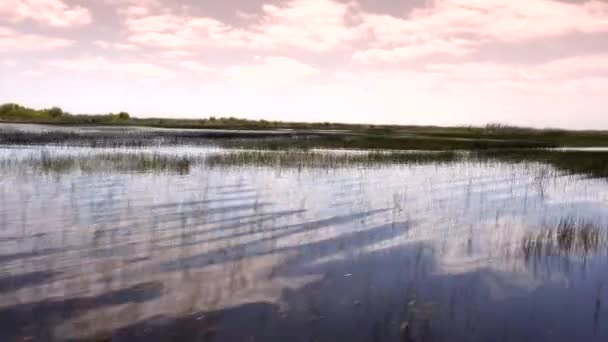 FLORIDA Everglades 'te inanılmaz ve heyecan verici bir yolculuk. — Stok video