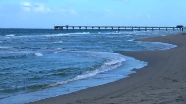 Beautiful empty beach in the carribean - evening shot — Stock Video