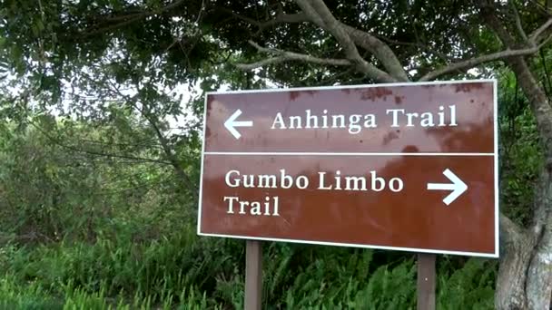 Wegweiser - Gumbo Limbo Trail in den Everglades — Stockvideo