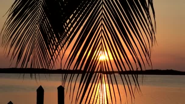 Coucher de soleil romantique sur une baie paradisiaque dans les Keys — Video