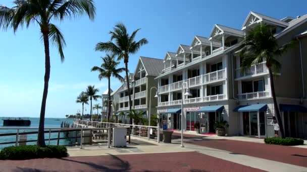 Schöner Pier in Key West an einem sonnigen Tag — Stockvideo