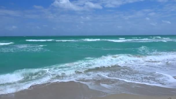 Verse turquoise zeewater in het Caribisch gebied — Stockvideo