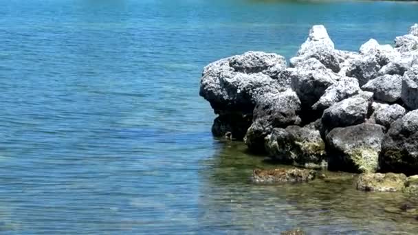 Baie de Beautiflul dans les Keys de Floride — Video