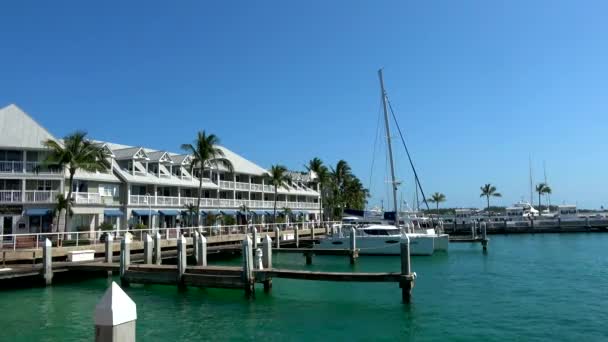 Vacker brygga på Key West en solig dag — Stockvideo