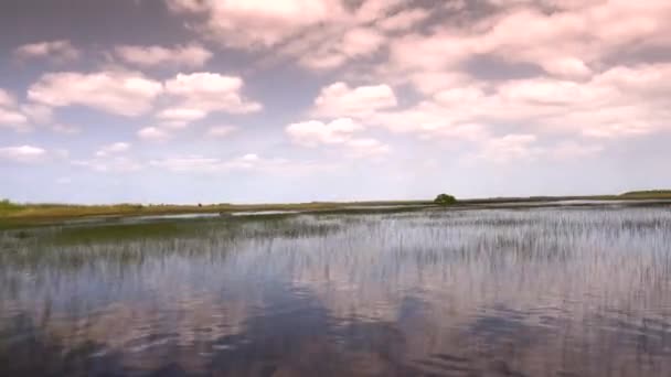 Increíble y emocionante paseo a través de los Everglades Floridas — Vídeo de stock