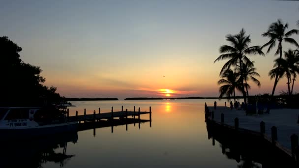 Die schönen Florida Keys bei Sonnenuntergang — Stockvideo