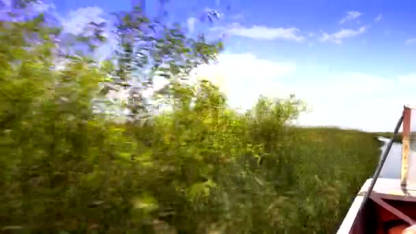 Emozionante Airboat Passeggiata attraverso le Everglades in Florida — Video Stock