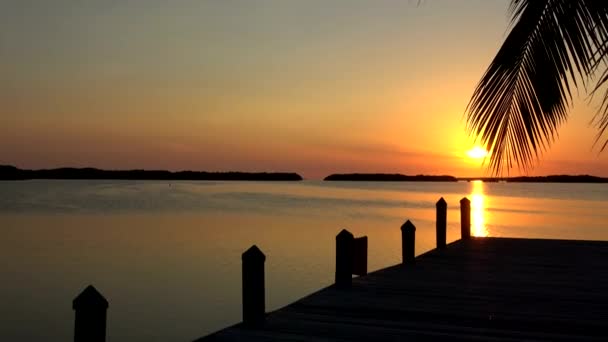 Prachtige baai in de Keys van Florida bij zonsondergang — Stockvideo