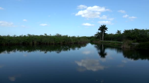 Güney Floridanın Everglades 'inde romantik bir göl — Stok video