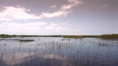 FLORIDA Everglades 'te inanılmaz ve heyecan verici bir yolculuk.