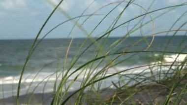 Bir kum plajındaki rüzgarda sallayarak Sawgrass'da