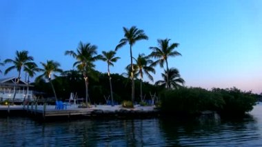 Florida Keys 'te bir körfezde aydınlatılmış palmiye ağaçları. Akşam manzarası.