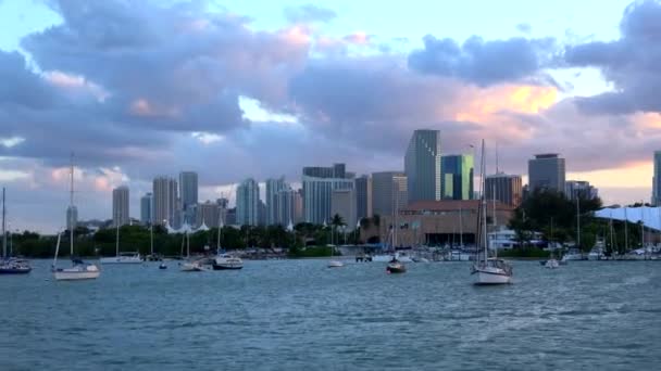 Vacker kvällsutsikt över Miamis skyline på kvällen — Stockvideo