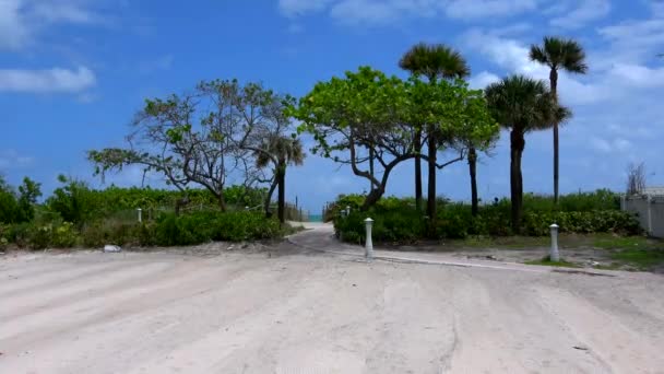 Maravillosa playa en la carroña — Vídeo de stock