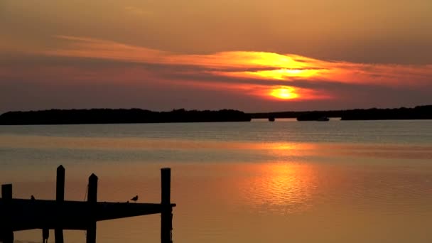 As belas chaves da Flórida ao pôr do sol — Vídeo de Stock