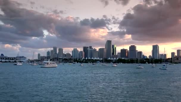Gyönyörű kilátás az esti Miami városára — Stock videók