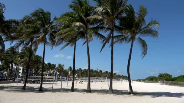 Miami Plajı Floridası Güneşli bir günde — Stok video