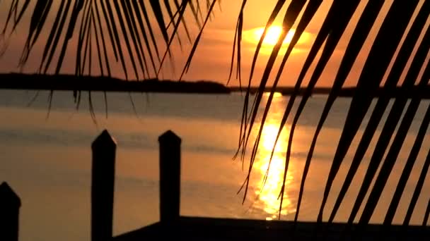 弗罗里达群岛惊人的日落 — 图库视频影像