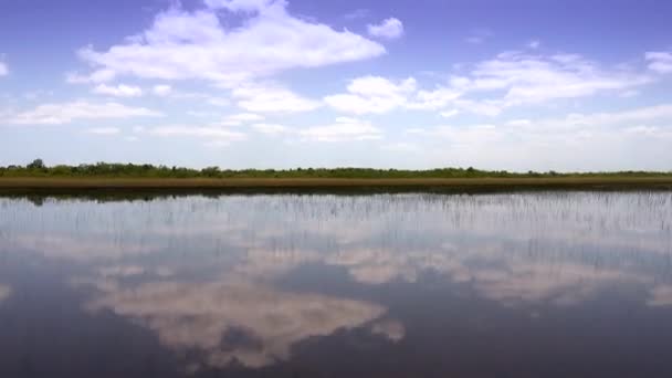 Emocionante paseo en lancha a través de los Everglades en Florida — Vídeos de Stock