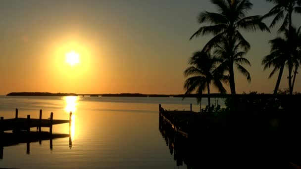 Merveilleuse baie paradisiaque dans les clés de la Floride au coucher du soleil — Video