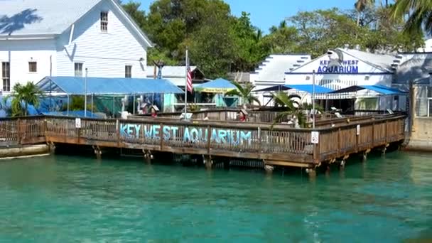 Key West Akvárium egy napsütéses napon — Stock videók