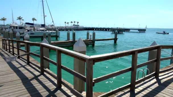 The pier at Key West on a sunny day — Stock Video