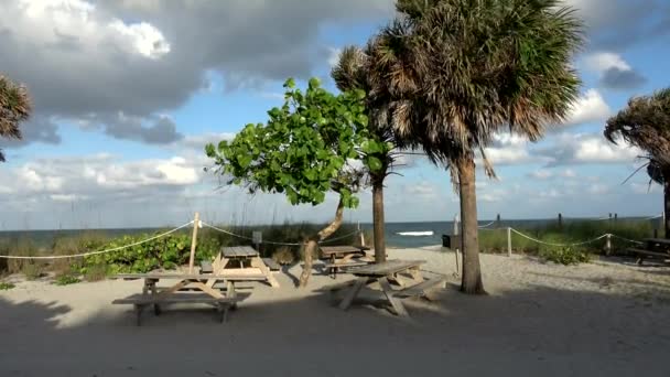 Hermosa bahía en el sur de Florida — Vídeo de stock