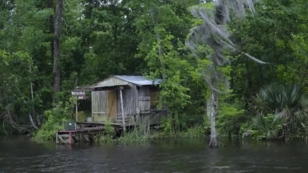 Régi, fából készült kunyhó a louisianai mocsár területén — Stock videók