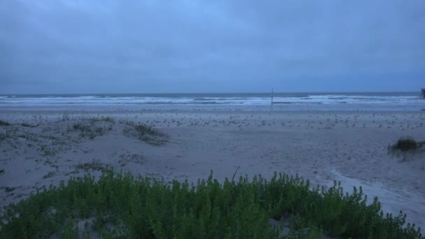 Daytona Beach - kumlu plaj ve dunes akşam — Stok video