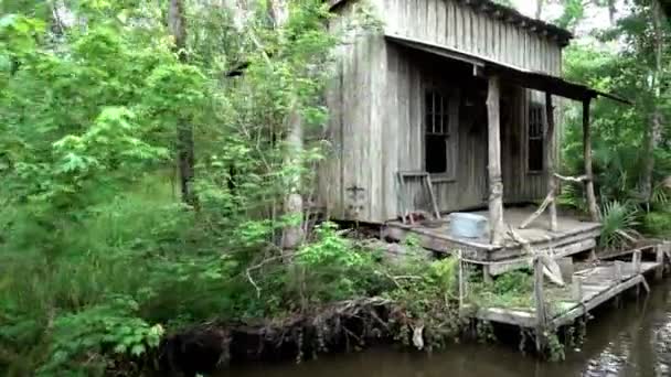 Gamla trä koja i området träsk i Louisiana — Stockvideo