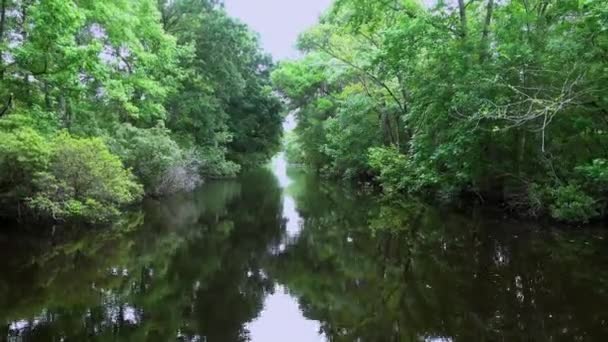 Les Marais en Louisiane près de La Nouvelle-Orléans 