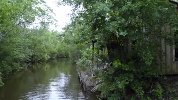 ルイジアナ州の湿地ツアーの日のタイムショット — ストック動画