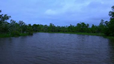 Louisiana Bataklıkları