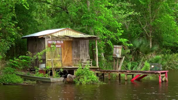 Cabaña de madera en los pantanos — Vídeo de stock