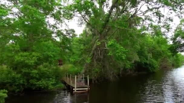 Tour en bateau à travers le marais — Video