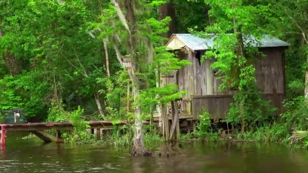 Cabaña de madera en los pantanos — Vídeo de stock