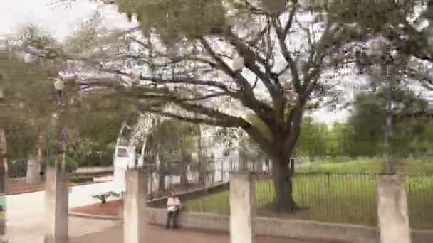 Armstrong Park New Orleans Louisiana New Orleans Louisiana Dubna 2016 — Stock video