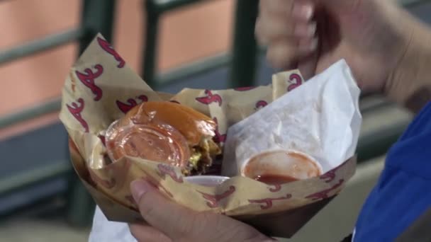 Turner Field Baseballový Stadion Atlanta Spojené Státy Června 2016 — Stock video