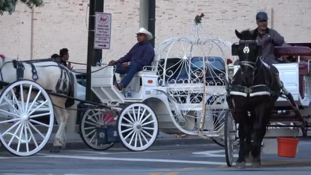 Paardentaxi Atlanta Binnenstad Atlanta Georgia April 2016 — Stockvideo