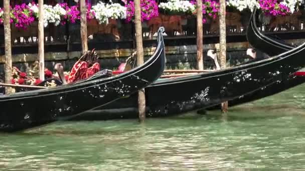 Góndolas románticas en los canales de Venecia — Vídeo de stock